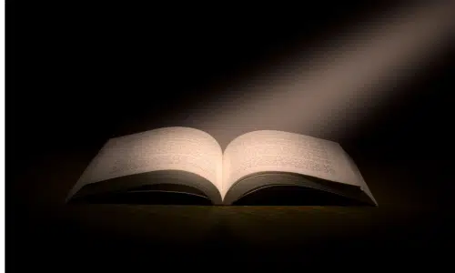 page porte-adresse Convocation AG personalisée Edilink - Externalisation courrier Syndic - numero immeuble sur convocation